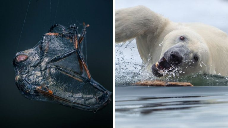 Fotografie prírody, ktoré ju zachytávajú v plnej kráse. Vyrazia vám dych.