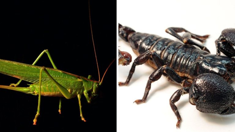 Čo by sa stalo, keby? Príroda by vedela ľudstvo zničiť bez prílišnej námahy.