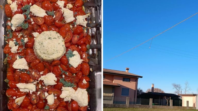 10 náhodných zaujímavých fotografií z internetu #86: Zmodraný cesnak, či pes, ktorý sedí a pozerá TV ako človek