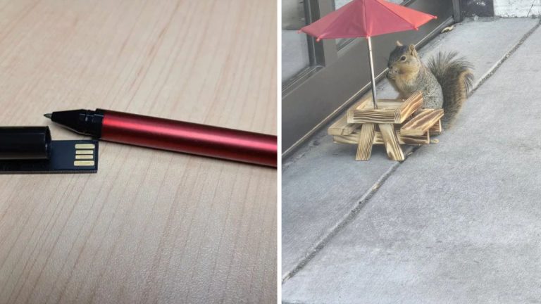 10 náhodných zaujímavých fotografií z internetu #87: Veverička v reštaurácii alebo torta v štýle mačacieho WC