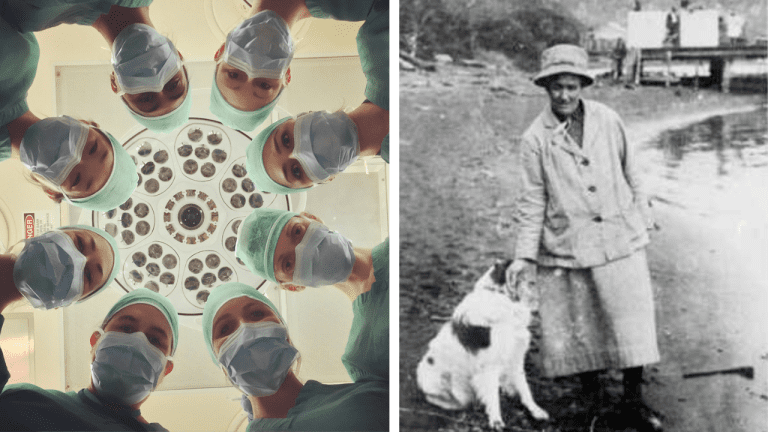 10 najväčších podvodníkov histórie a ich neslávne známe činy