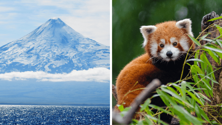 Zaujímavosti ku káve, ktoré ti rozšíria obzory #2024 – sopky na Aljaške a prvá objavená panda
