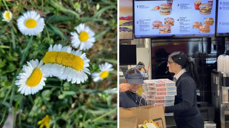 10 náhodných zaujímavých fotografií z internetu #106: Ohrady pre batoľatá na letisku alebo koketný diviak v Barcelone