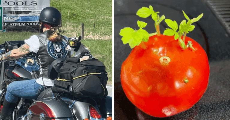 15 prekvapivých fotografií, ktore ľudia zachytili úplnou náhodou
