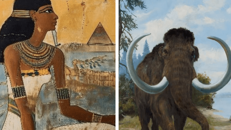 10 čudných historických faktov, ktoré vyzerajú ako čistý nezmysel