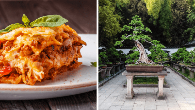 Zaujímavosti ku káve, ktoré ti rozšíria obzory #2041 –  rekordné lasagne a čínske korene japonského umenia