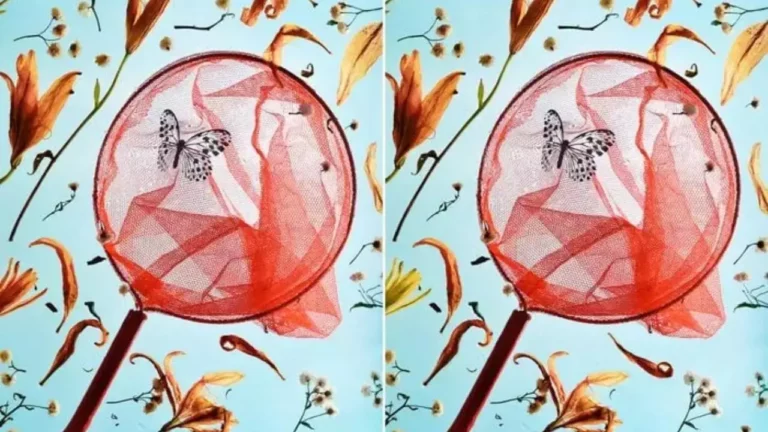 Dokážete nájsť rozdiel? Otestujte svoj postreh a zrak s touto záludnou hádankou!