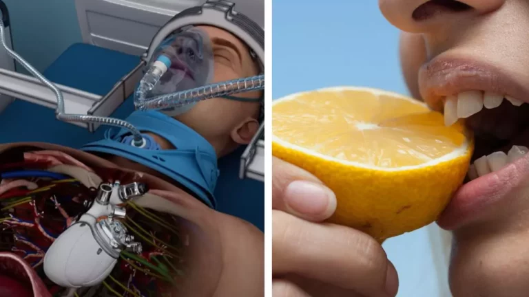 10 prelomových vynálezov ľudstva, ktoré zásadne menia našu budúcnosť