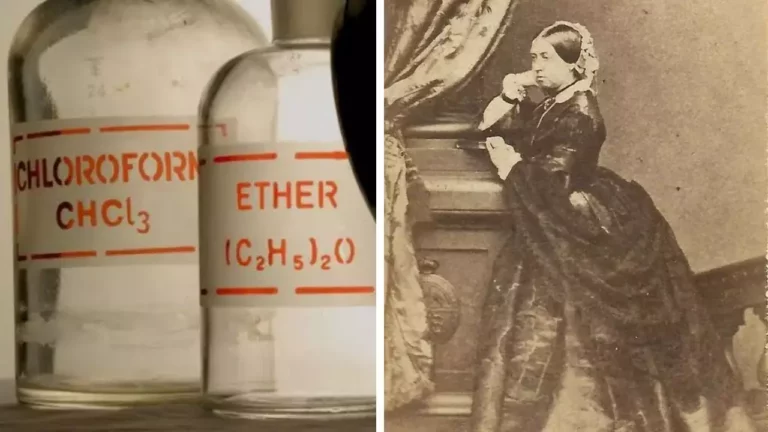 10 šokujúcich faktov o kráľovnej Viktórii, ktoré sa nezmestili do kníh dejepisu