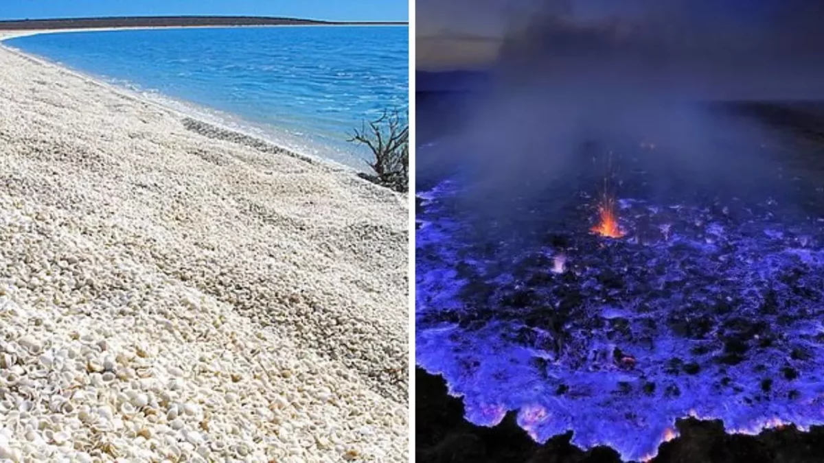 Pláž pokrytá mušľami pri modrej vode a nočné modré svetlo sopečnej erupcie pod oblohou.