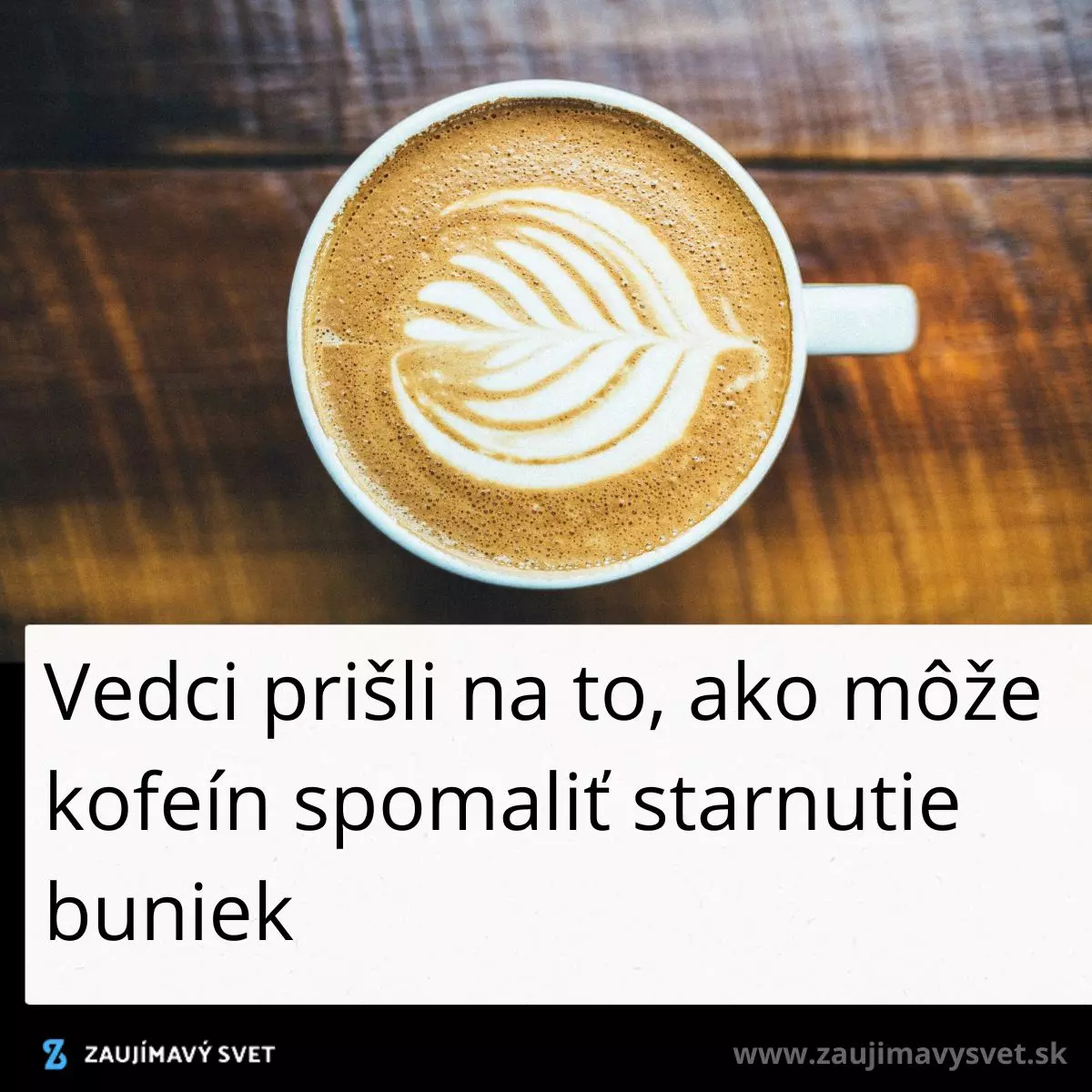 Šálka cappuccina s latte art, srobka kávy znižuje tempo starnutia buniek podľa vedeckého výskumu.