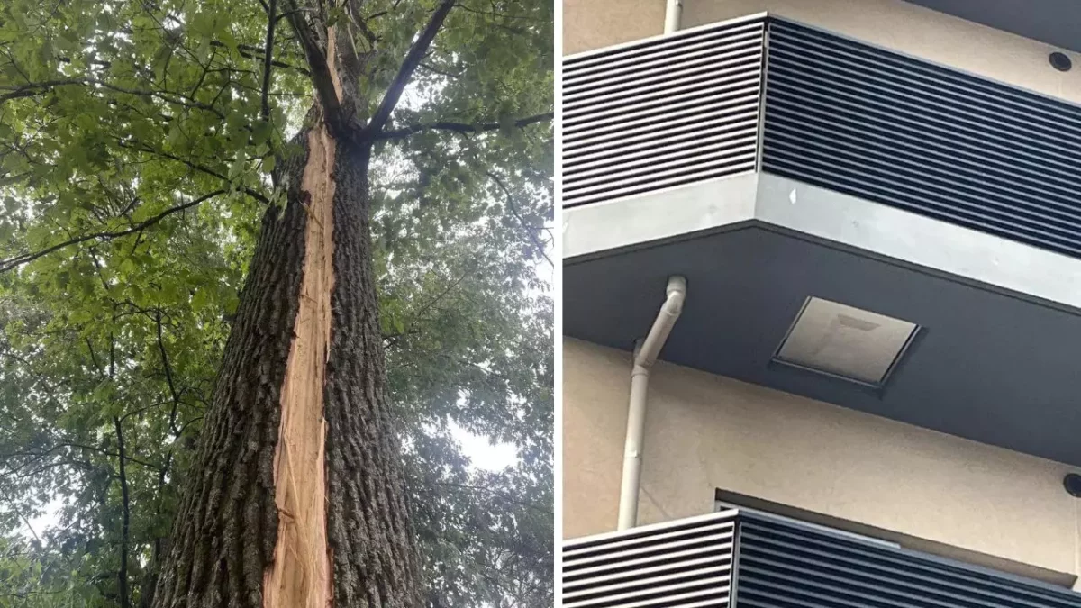 Prasknutý strom a moderný balkón vedľa seba.