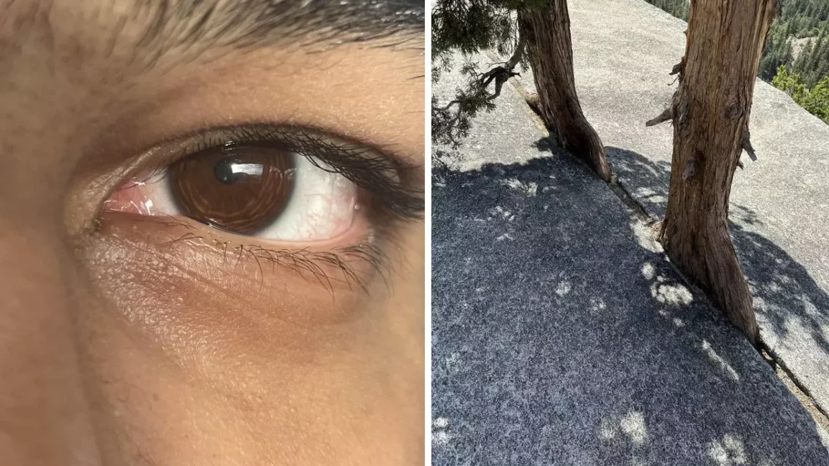 Blízky pohľad na oko a stromy vrhajúce tiene na skalnatý povrch.