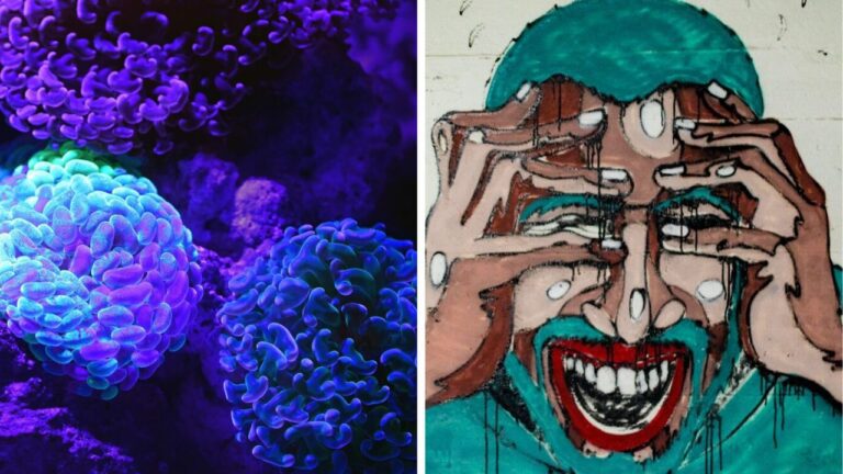 10 neuveriteľných faktov o ľudskom mozgu, ktoré vám vyrazia dych