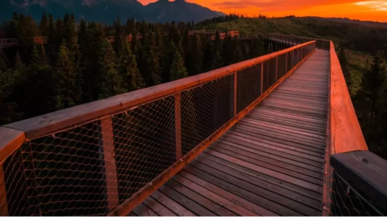 Drevený most vedúci cez les s panoramatickým výhľadom na hory pri západe slnka, obloha s oranžovými odtieňmi.
