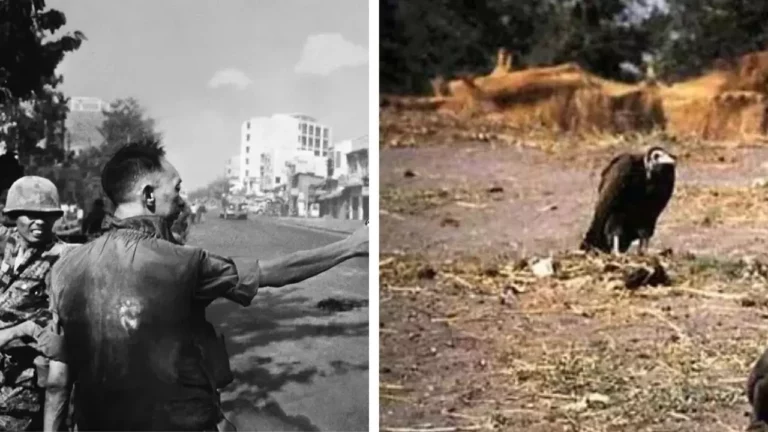 10 bolestných príbehov, ktoré stoja za fotografiami ocenenými Pulitzerovou cenou