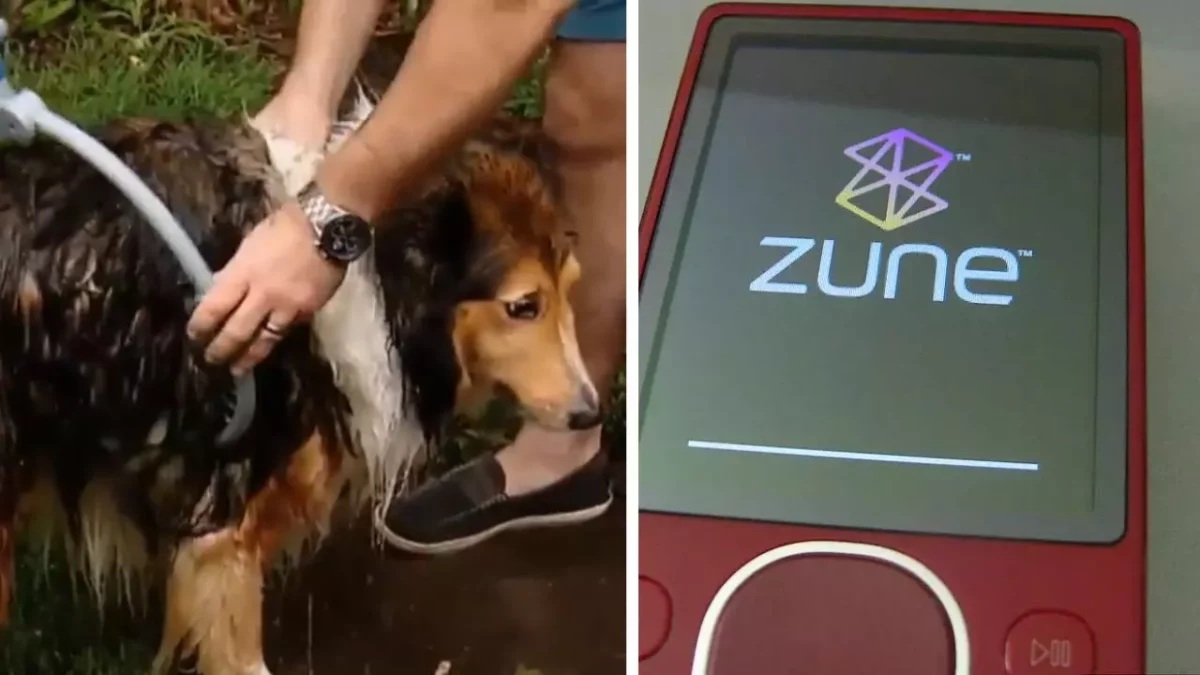 Muž umývajúci psa vonku vedľa červeného digitálneho prehrávača Zune so zobrazeným logom na displeji.