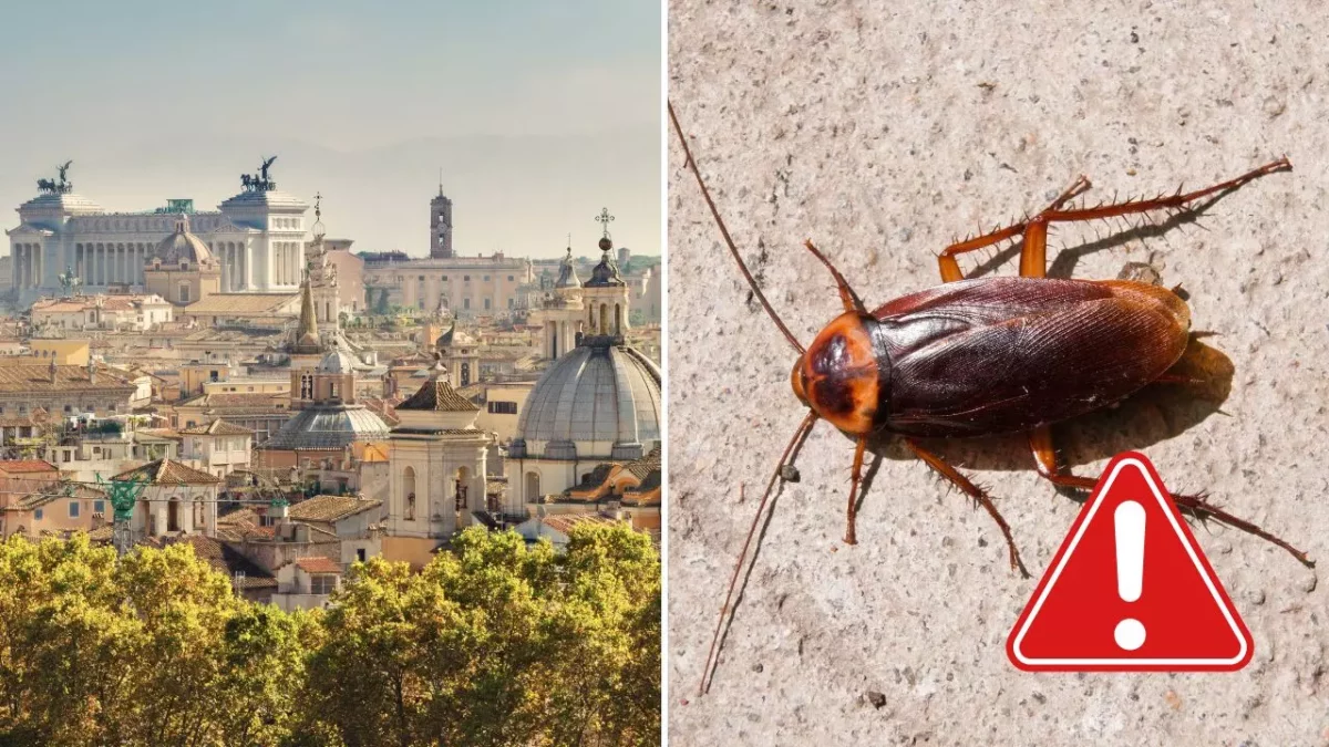 Panoráma Ríma a šváb na kamennej dlažbe s varovným symbolom.