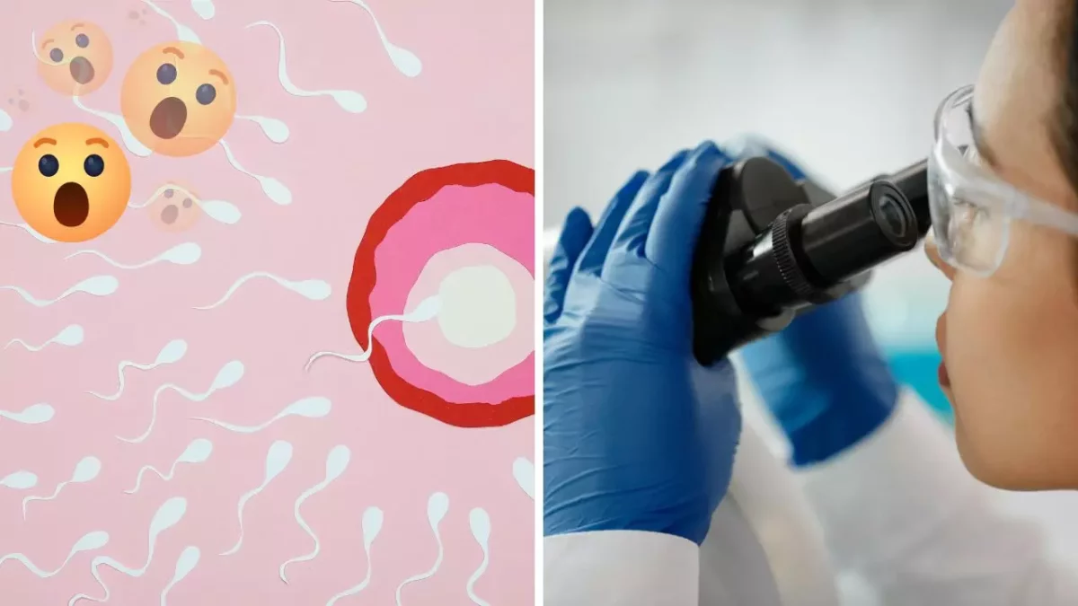 Štúdium oplodnenia: Spermia smerujú k vajíčku a vedec pozorujúci mikroskopom v laboratóriu.