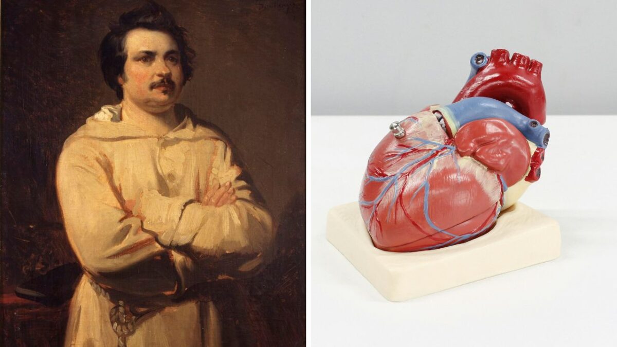 Portrét muža a anatomický model ľudského srdca, vedľa seba na jednom obrázku.