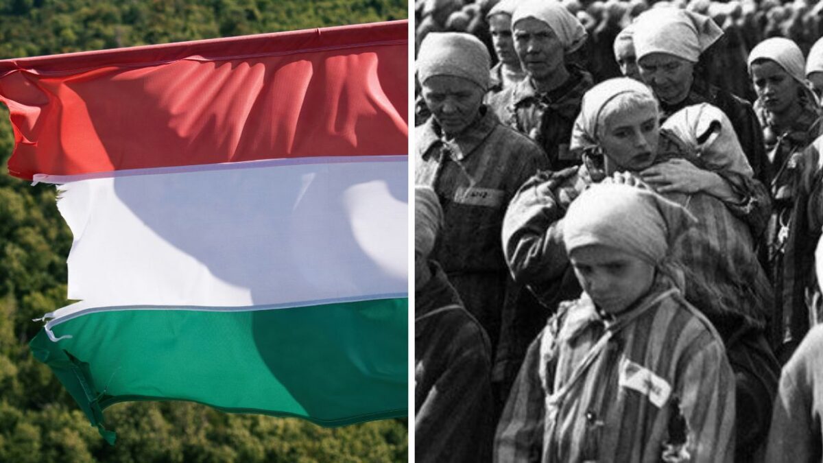 Neapologetický pohľad na dôležité historické udalosti so zameraním na stáťu a ľudské osudy.
