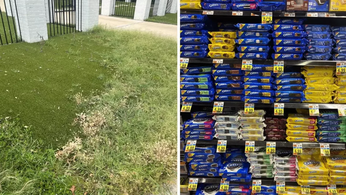 Ľavá strana ukazuje umelý trávnik vedľa prírodného trávnika, pravá regály s rôznymi baleniami sušienok.