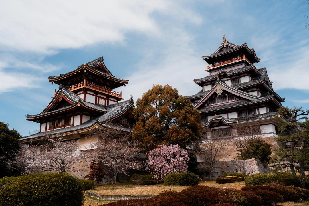 Japonský hrad s tradičnou architektúrou a rozkvitnutými sakurami pod modrou oblohou.