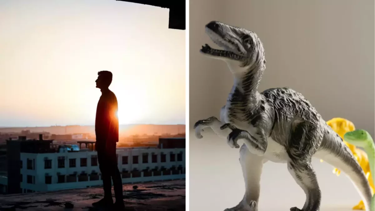 Ľudská silueta pri západe slnka; hračka dinosaura na stole, v pozadí mestská panoráma.