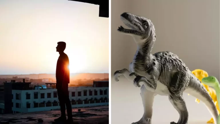 Ľudská silueta pri západe slnka; hračka dinosaura na stole, v pozadí mestská panoráma.