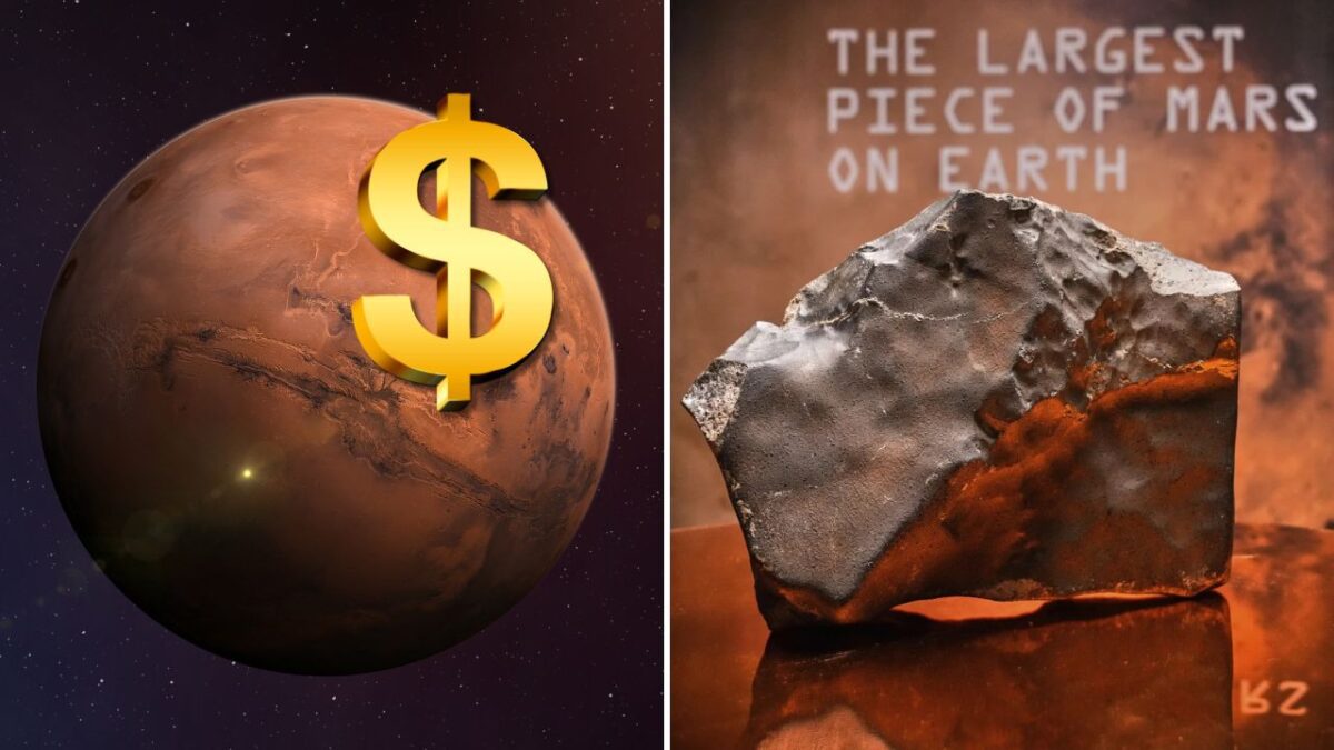 Marsu s dolárovým symbolom vedľa najväčšieho meteoru z Marsu na Zemi.