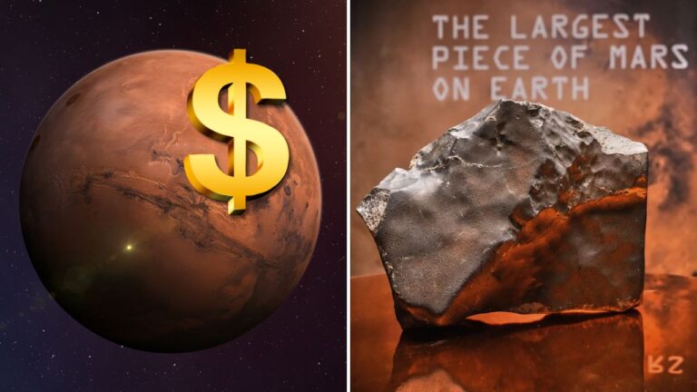 Marsu s dolárovým symbolom vedľa najväčšieho meteoru z Marsu na Zemi.