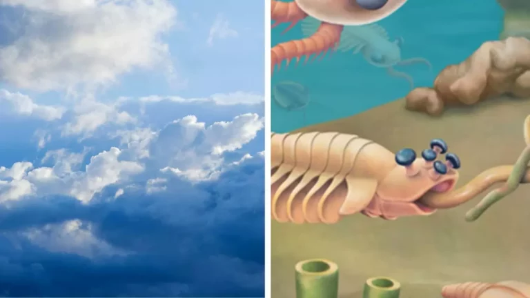 Na obrázku sú mraky na oblohe a ilustrácia pravekého morského tvora v oceáne.