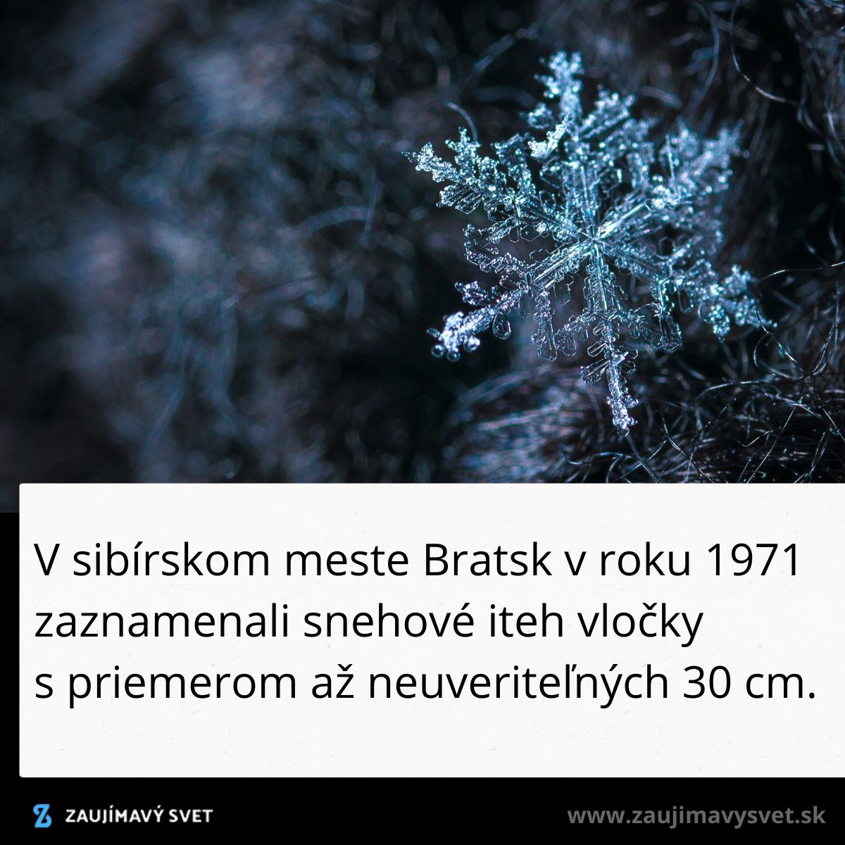 Snehová vločka v Bratsku v roku 1971 dosiahla priemer až 30 cm, rekordná veľkosť v histórii sneženia.