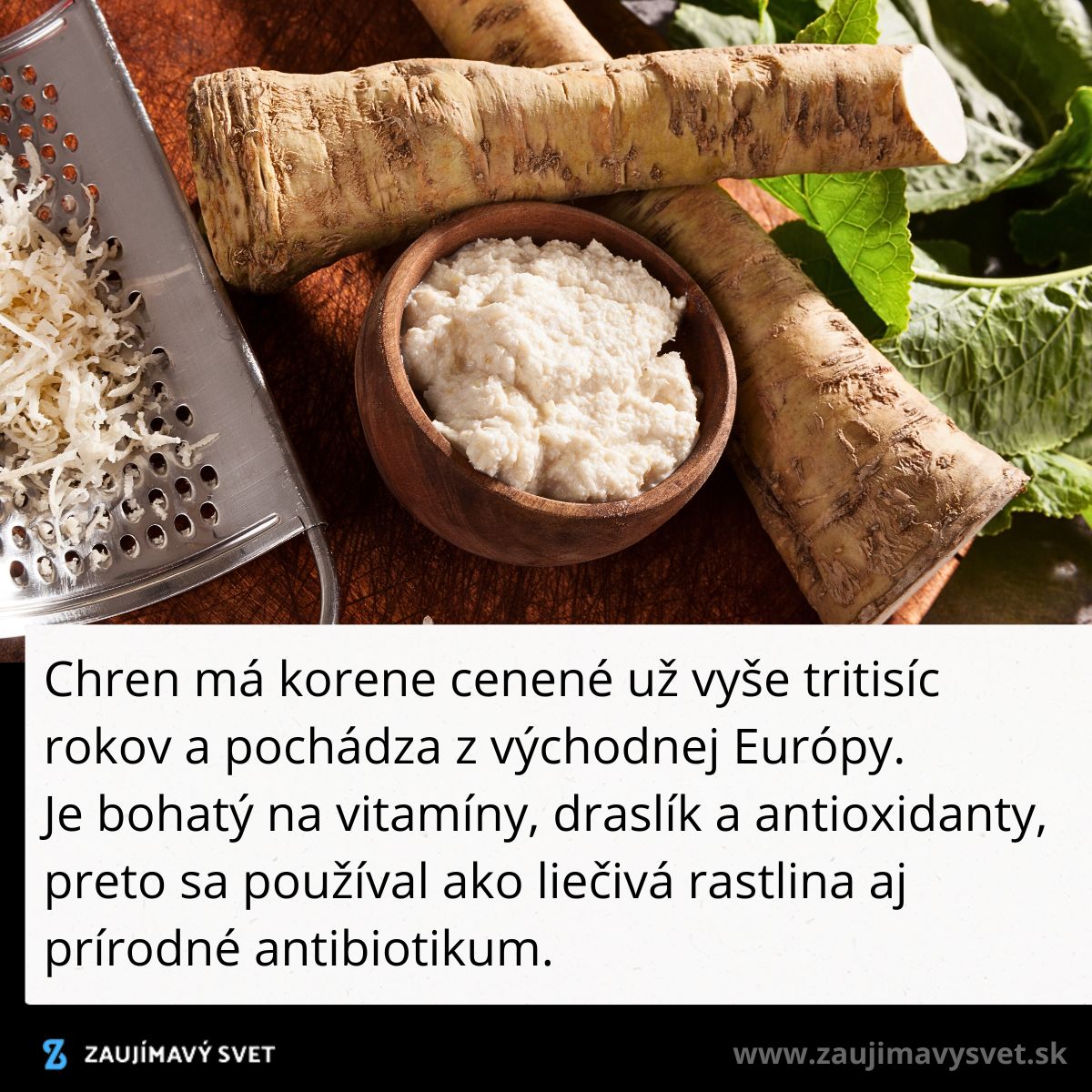 Čerstvý a strúhaný chren vedľa nastrúhaného koreňa, obľúbená prísada v kuchyni i prírodná medicína.