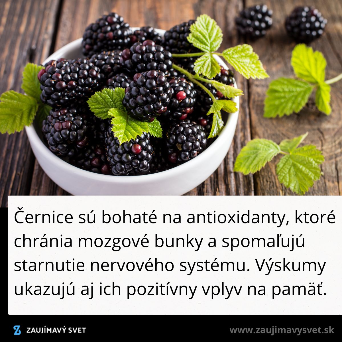 Miska černíc na drevenom stole s čerstvými zelenými lístkami, bohatými na antioxidanty.