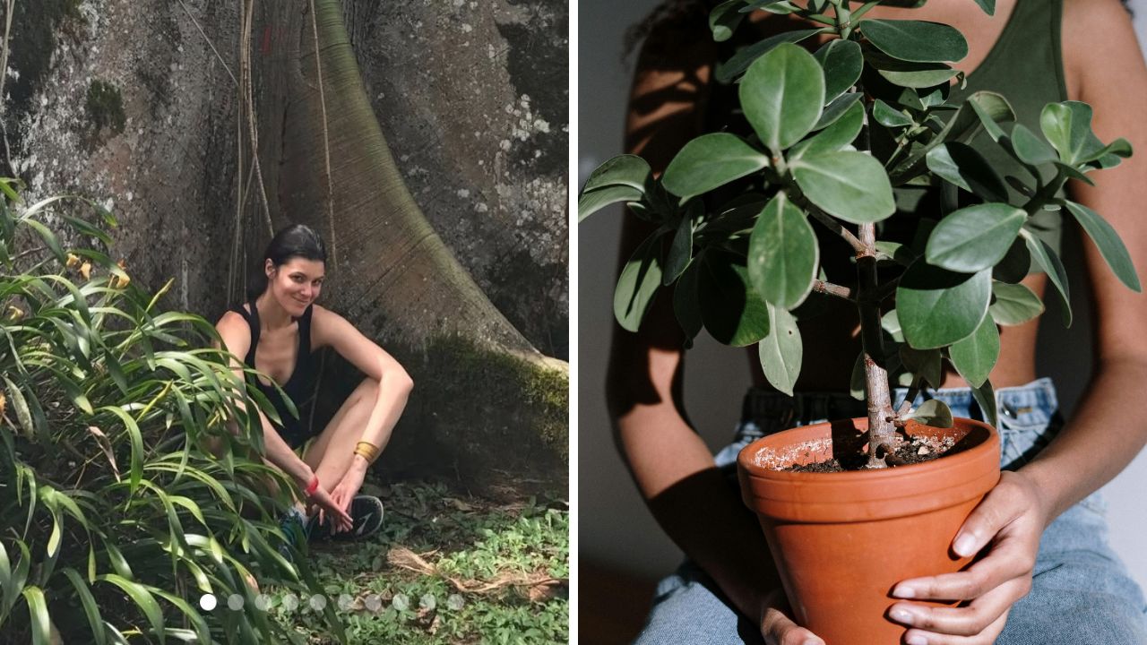 Osoba sedí pri strome v prírode; niekto drží rastlinu v hlinenom kvetináči.