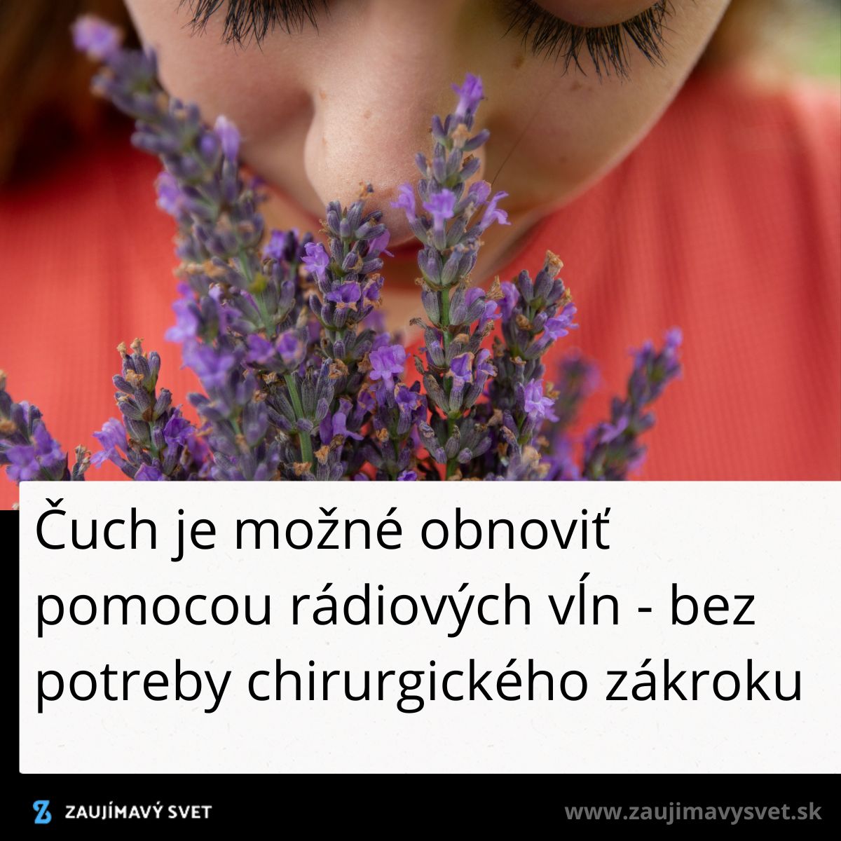 Osoba voňajúca fialové kvety levandule, zmyslové skúsenosti a obnova čuchu pomocou moderných techník.