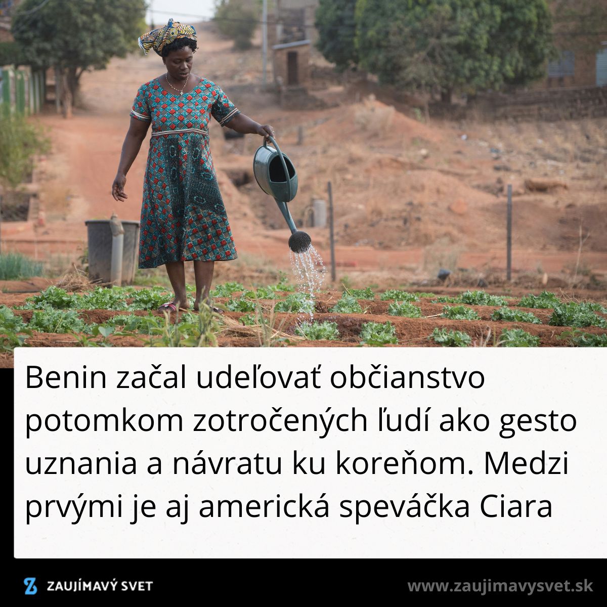Žena v Benine zalieva zeleninovú záhradu, ilustrujúca dedinský život a rôznorodosť každodenných prác.