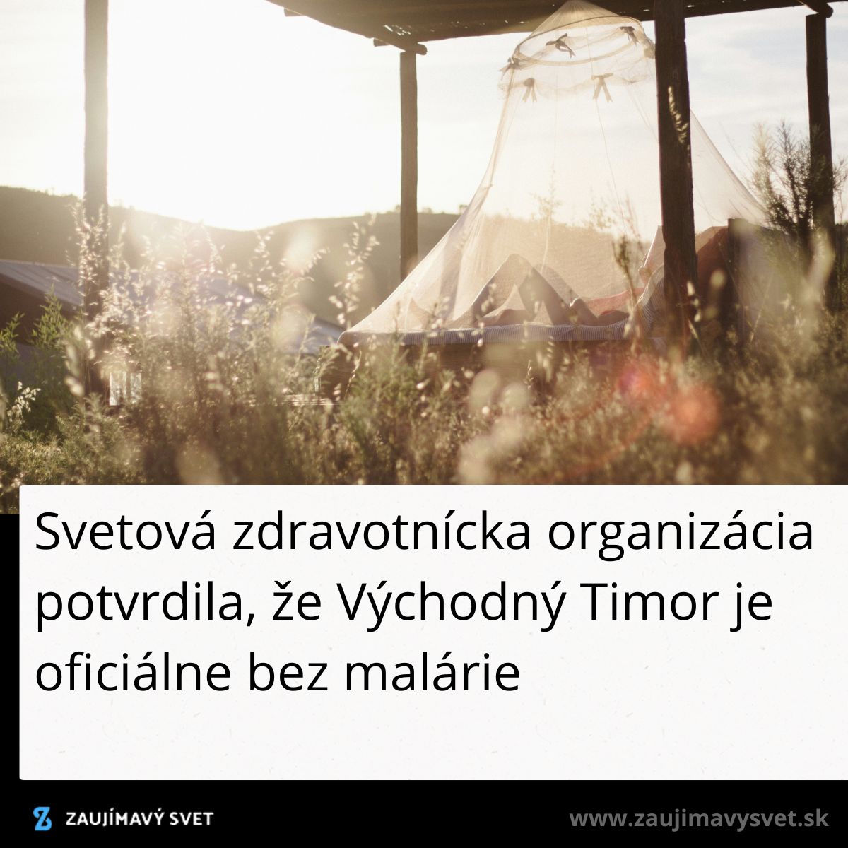 Východný Timor bez malárie, potvrdené WHO; pokojný stan v prírode, úsvit.