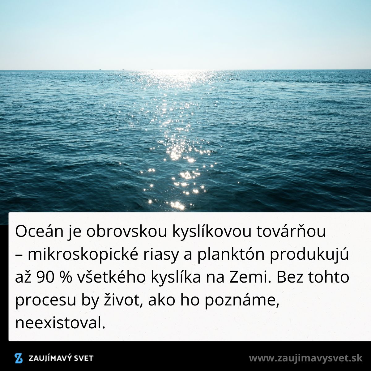 Pohľad na oceán s trblietavými odleskami slnka na vodnej hladine v pozadí.