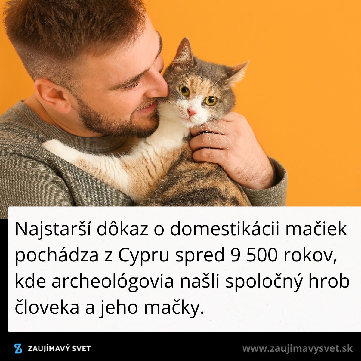 Muž objíma mačku pred oranžovým pozadím, s textom o starodávnej domestikácii mačiek na Cypre.