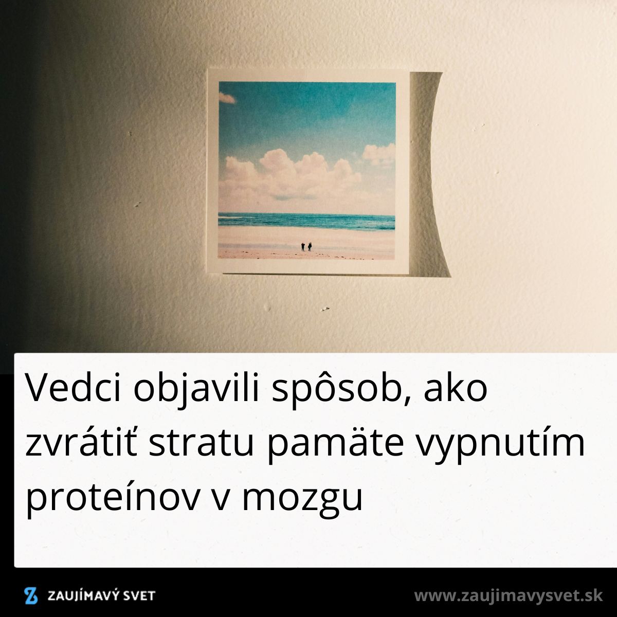 Pohľad na plážové foto, svetlý rám na stene, text o vedeckom objave na obnovu pamäti vypnutím proteínov.