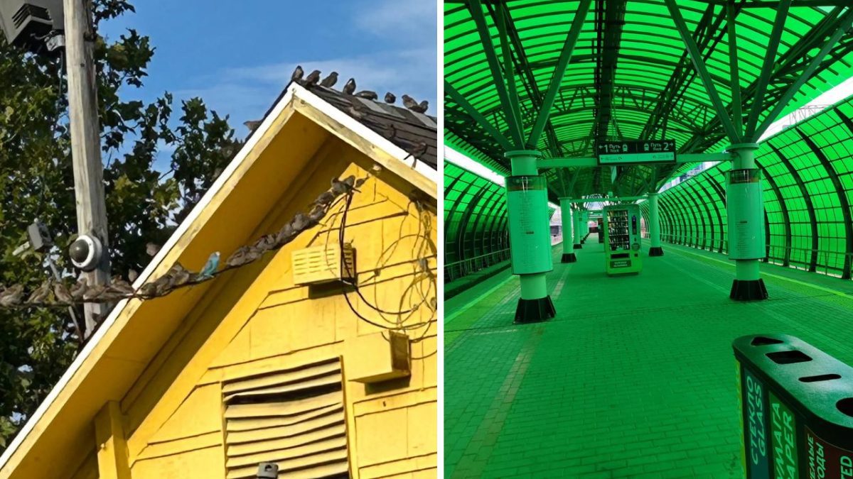 Žltý dom s holubmi na streche vedľa zeleného zastrešeného perónu s moderným vzhľadom.