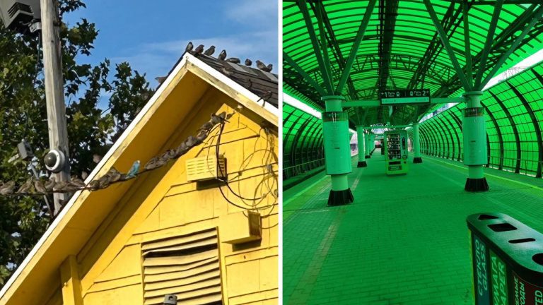 Žltý dom s holubmi na streche vedľa zeleného zastrešeného perónu s moderným vzhľadom.