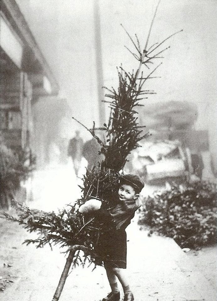Dieťa nesie vianočný stromček po zasneženej ulici, historická čierno-biela fotografia s atmosférou nostalgie.