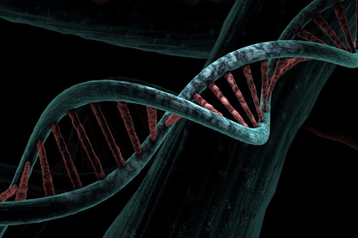 Ilustrácia štruktúry DNA: dvojitá špirála so zameraním na genetické vlákno a jeho detaily.