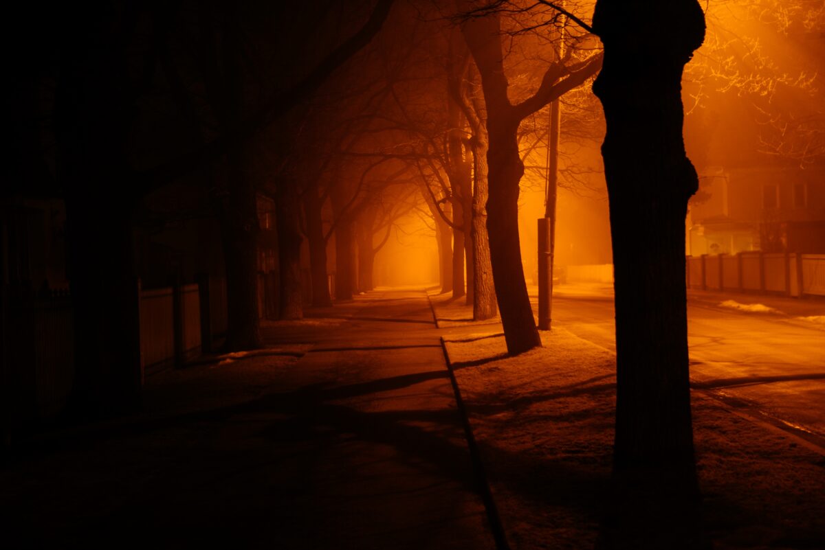 Mlha zahalila nočnú ulicu s lampou osvetľujúcou cestu a siluety stromov, vytvárajúc tajuplnú atmosféru.