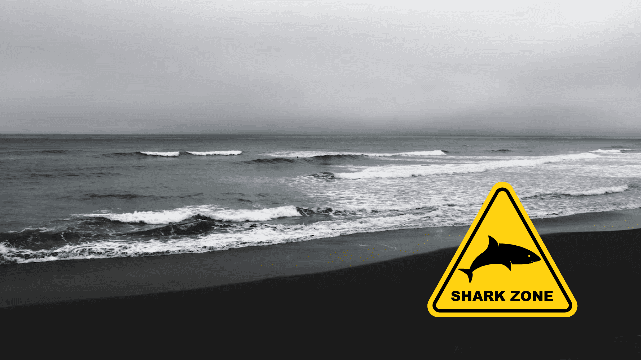Nebezpečná zóna: Žltá výstražná značka „Shark Zone“ na pobreží s vlnami a zamračenou oblohou.