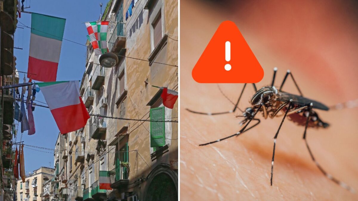 Talianska ulica s vlajkami a komár na koži s výstražným symbolom.