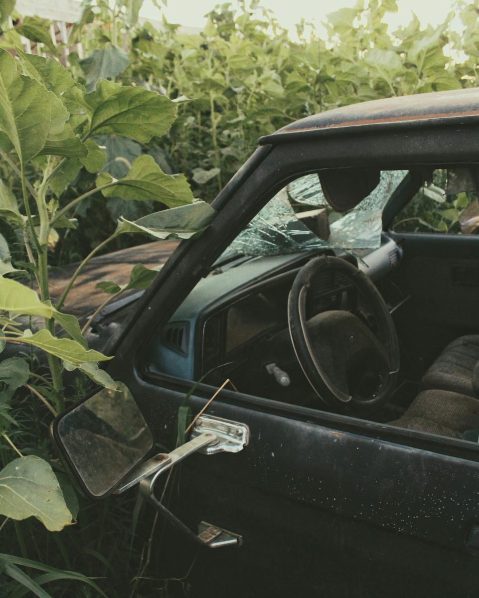 Opustené auto v húštine s rozbitým sklom, obklopené vysokou zeleňou.